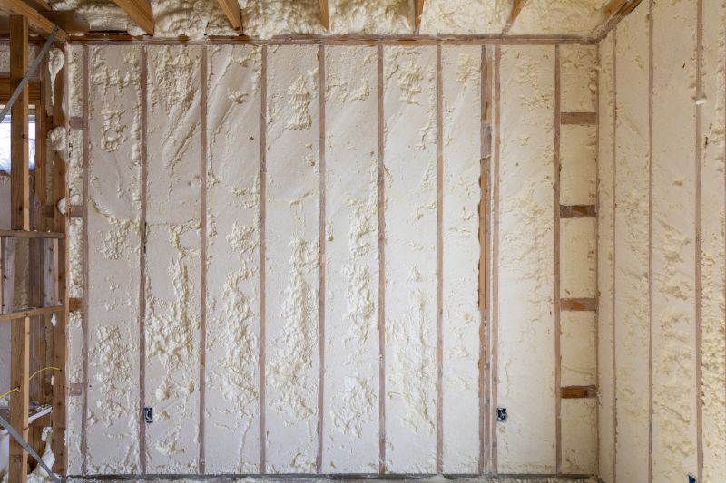 Insulation Service in Georgetown, TX